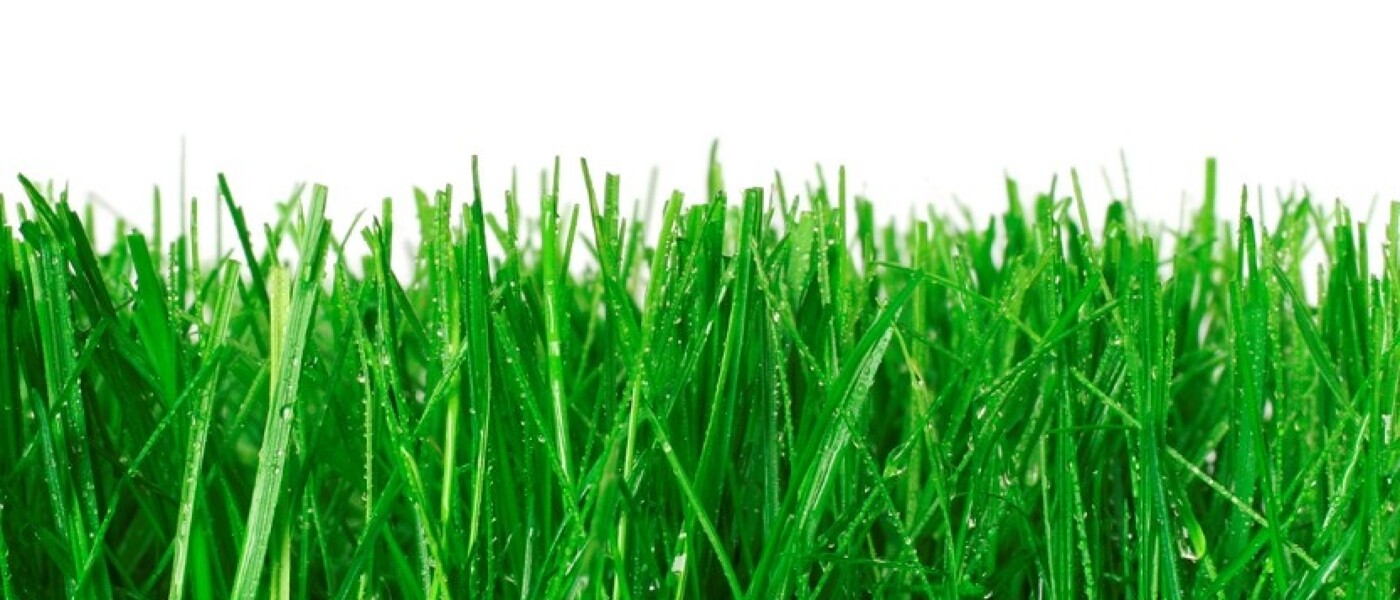 Ausstellung geöffnet -
Beratungen gerne mit vorheriger Terminvereinbarung. Ausstellung geöffnet -
Beratungen gerne mit vorheriger Terminvereinbarung.